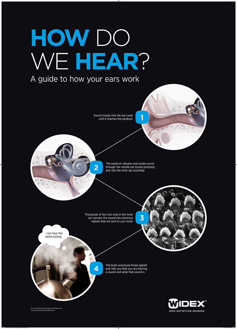 How do we hear a guide to how your ears work infographic infographics