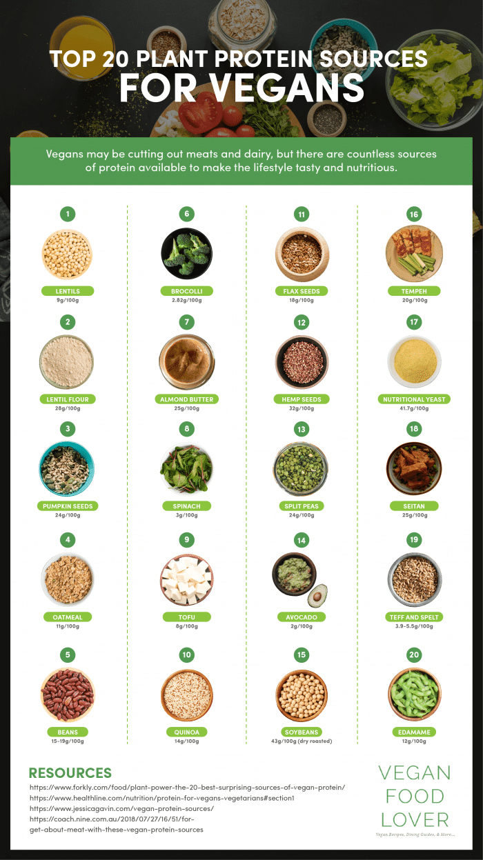 Top 20 Plant Protein Sources For Vegans Infographic Infographics