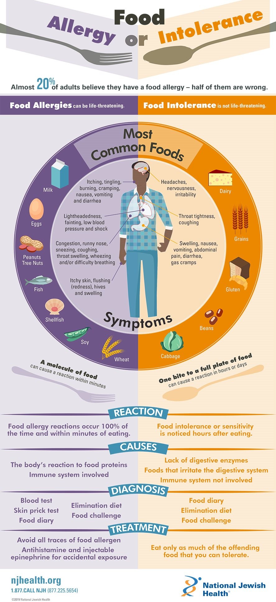 Food Allergy Or Intolerance Infographic Infographics