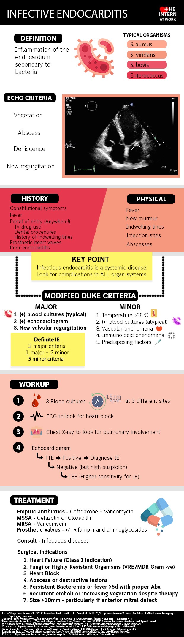 Infective Endocarditis Infographic Infographics