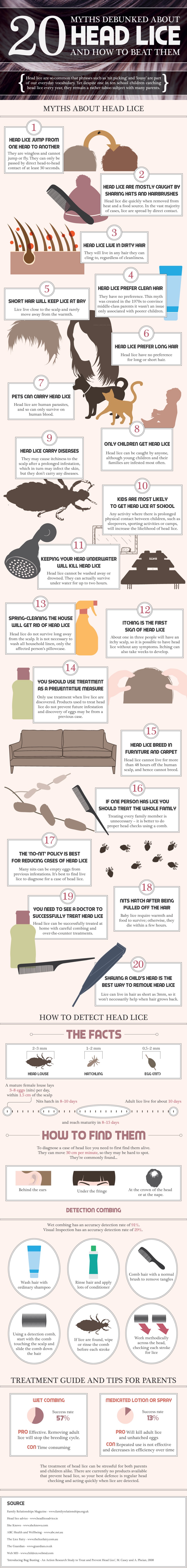 20 Myths Debunked About Head Lice and How to Beat Them Infographic ...