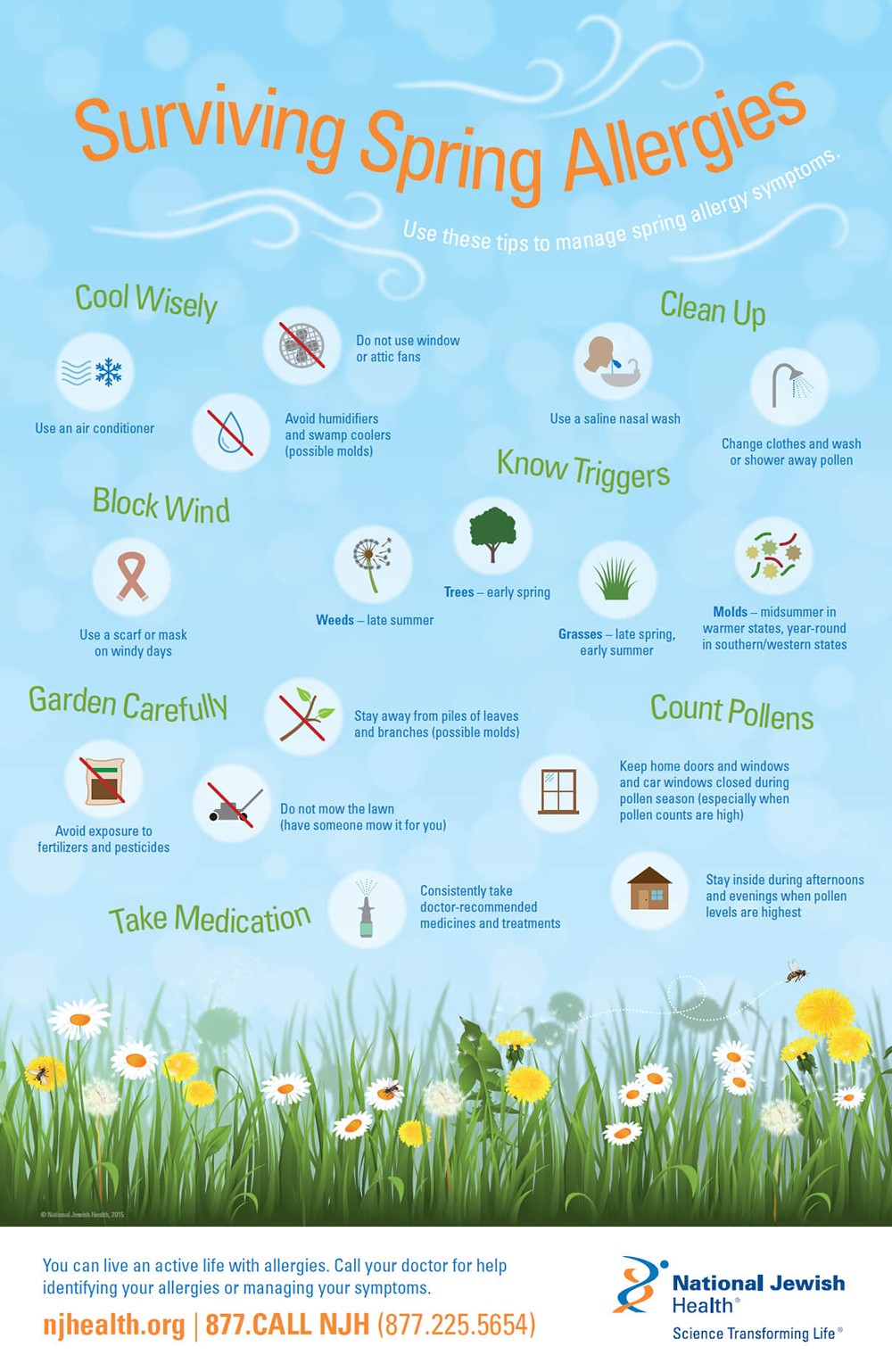 Surviving Spring Allergies Infographic Infographics