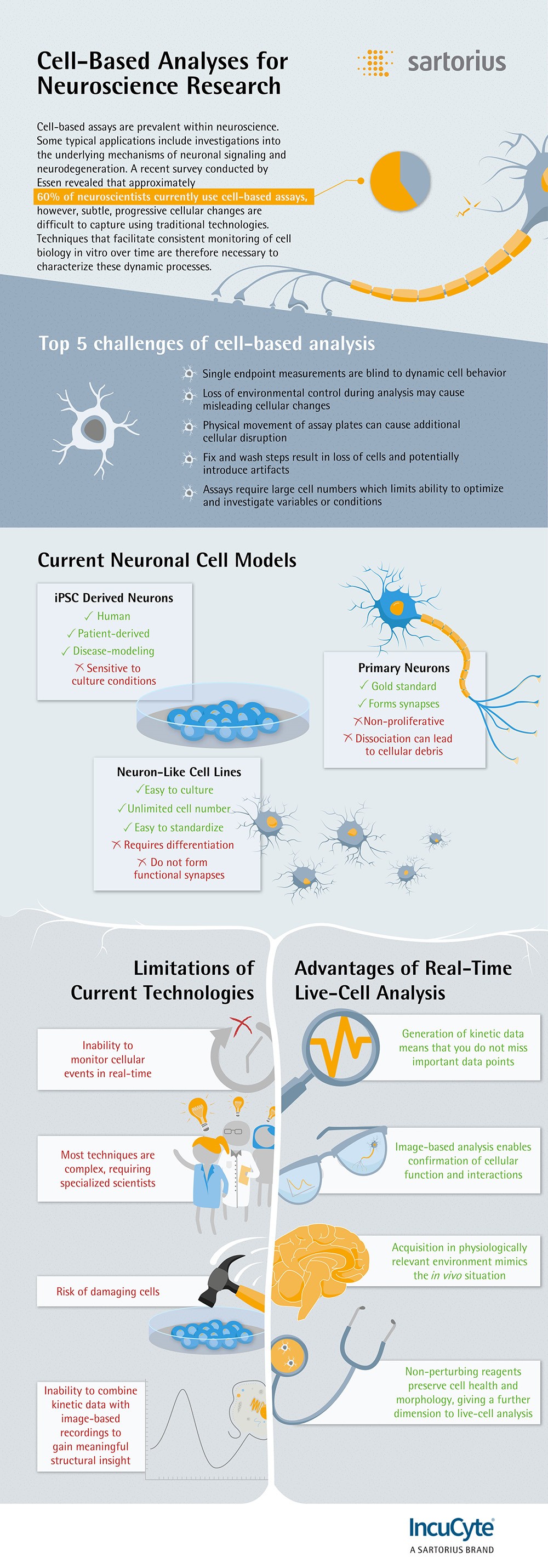 neuroscience research