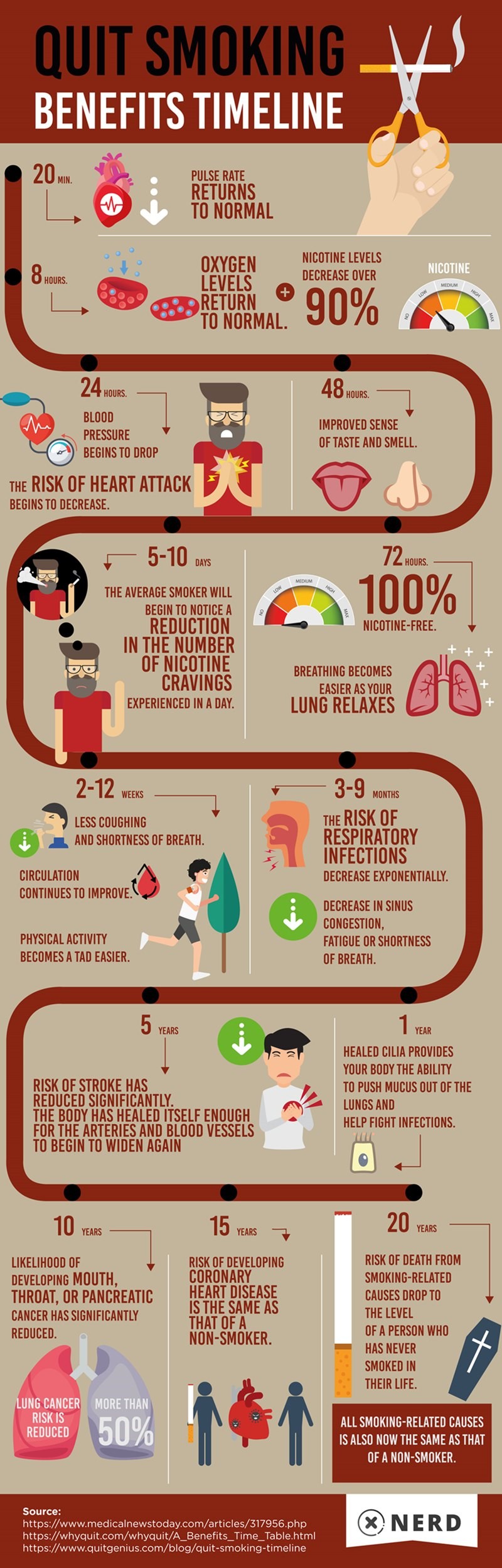 Quit Smoking and its Benefit Timeline Infographic Infographics