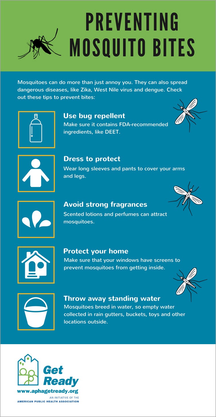How To Prevent Mosquito Bites Indoors At Madison Hales Blog How To Prevent Mosquito Bites Indoors At Madison Hales Blog