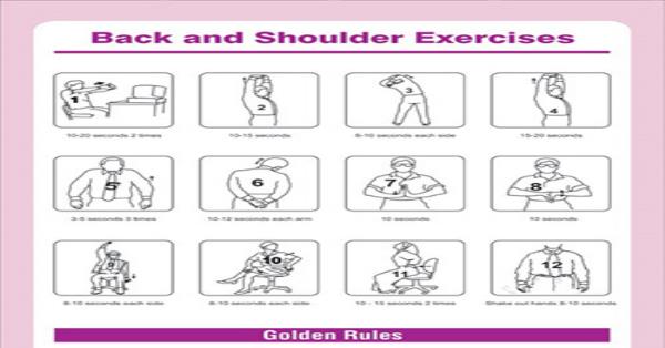 Back and Shoulder Exercises infographic Infographics | Medicpresents.com