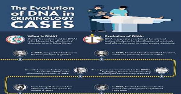 The Evolution of DNA in Criminology Cases Infographic Infographics ...
