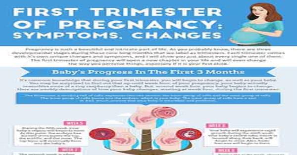 First Trimester of Pregnancy - Symptoms and Changes Infographic