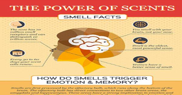 The Power of Scent and Smell Facts Infographic Infographics ...