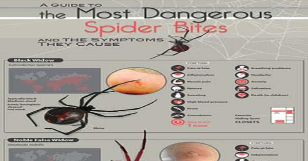 Spider Bite Types
