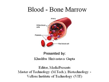 Blood - Bone Marrow