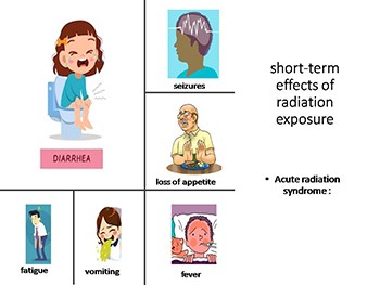 short-term and long-term effects as well as the somatic and genetic effects of radiation exposure