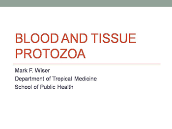 Blood And Tissue Protozoa