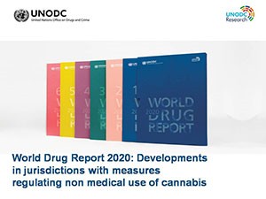 United Nations Office on Drugs and Crime (UNODC) World Drug Report 2020 - Booklet 4.1