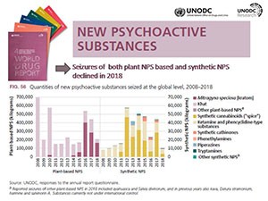 United Nations Office on Drugs and Crime (UNODC) World Drug Report 2020 - Booklet 4.5