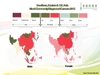 Fight to Reduce Cancer Mortality