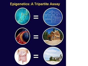 Epigenetics