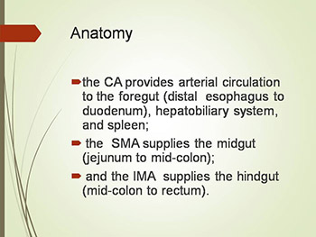 mesenteric arterial disease