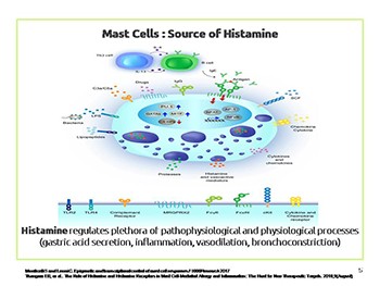 ROLE OF ANTIHISTAMINE IN MAST CELL-ASSOCIATED DISEASE