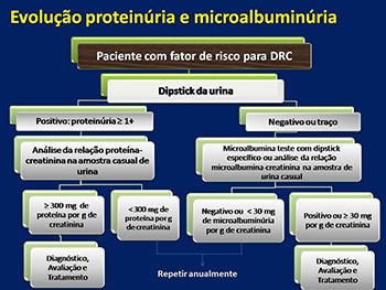 nefrology of kidney