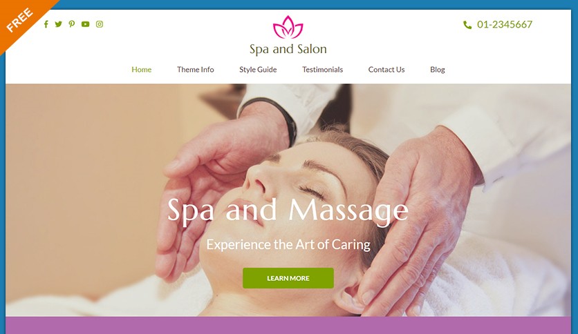Spa and Salon Beauty and Wellness Related Businesses Free Wordpress