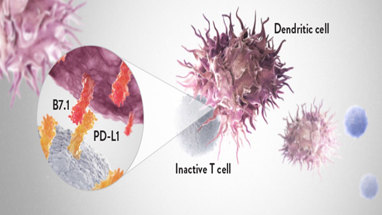 Download Free Medical Colon Cancer PowerPoint Presentation