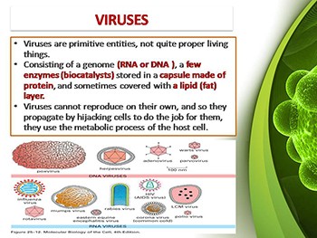 Antiviral Drugs