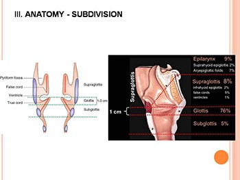 Laryngeal Cancer