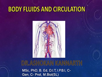 Body Fluids and Circulation