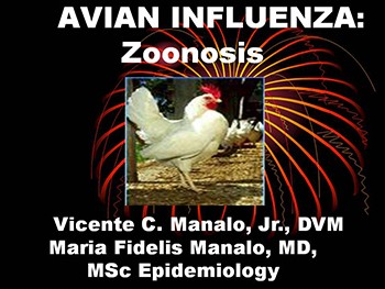 Avian Influenza or Bird Flu