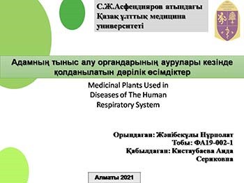 Medicinal Plants Used in Diseases of The Human Respiratory System