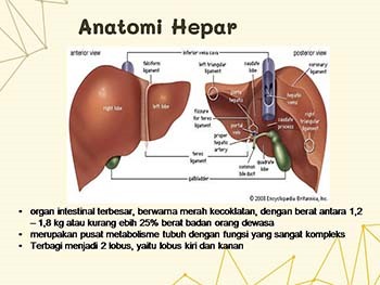 Hepatitis