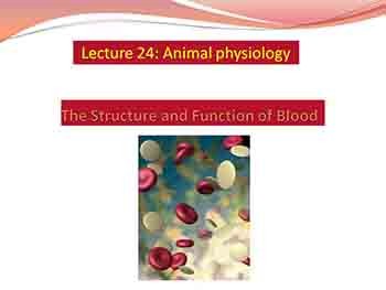 About Blood Physiology
