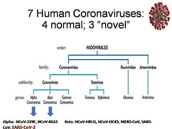 COVID-19-SARS-CoV-2