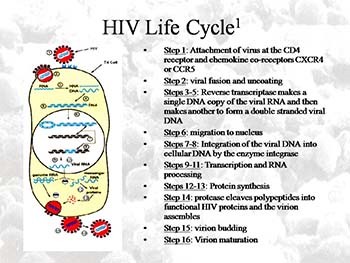 Anti-HIV Drugs