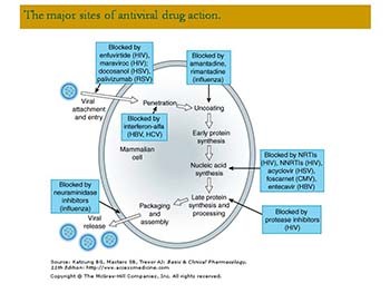 Antiviral drugs 