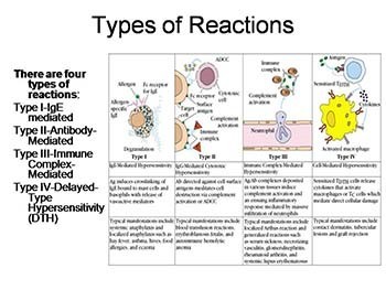 Hypersensitivity