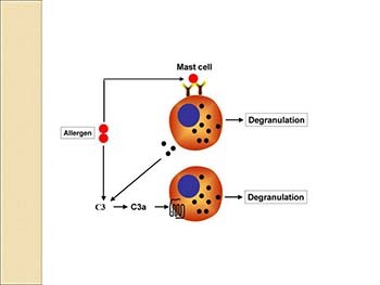 Allergic eye disease