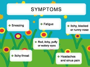 Hayfever - Seasonal allergic rhinitis