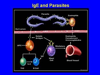 Hypersensitivity Disorders