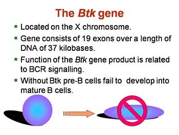 Immunodeficiency diseases