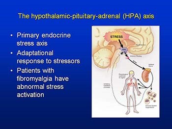 Fibromyalgia and the Social Construction of Disease