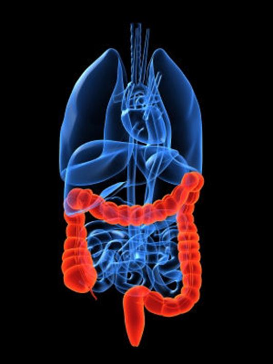 Download Free Medical Colorectal Cancer PowerPoint Presentation