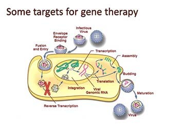 Cell Gene therapy