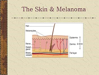 Skin Cancer: What You Should Know