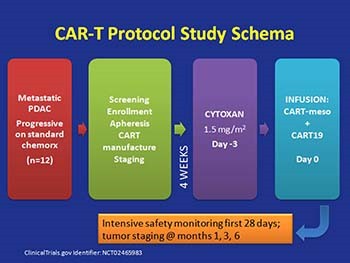 Emerging Biology in Pancreatic Cancer