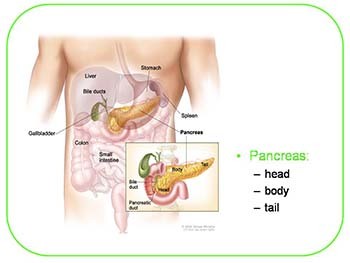 Pancreatic Carcinoma