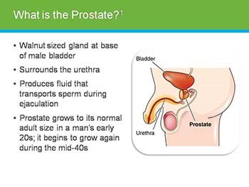 Understand Prostate Health