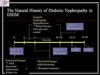 Secondary Causes of the Nephrotic Syndrome