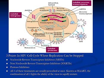 AIDS and Other Immunodeficiencies